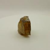 Rare Golden Apatite Rough Madagascar 96.79 Carats