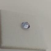 American Gem Natural Montana Sapphire 0.61 Carats