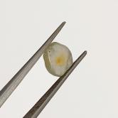 American Gem Natural Montana Sapphire Rough Flat 3.05 Carats