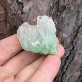 Rare Green Well Pocket Apophyllite Specimen India 45 grams