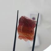 Natural Multi-Color Banded Tourmaline Hand-Carved Koi Fish 13.50 Carats