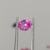 Natural Fine Pink Sapphire Sri - Lanka 