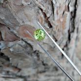 Fine Quality Bright and Pretty Arizona Peridot 2.81 Carats