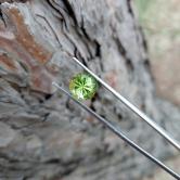 Fine Quality Bright and Pretty Arizona Peridot 2.81 Carats