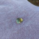 Large Natural Montana Sapphire Cabochon 2.42 Carats