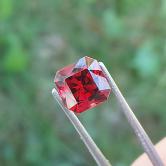 USA Cut Malaia Malaya Garnet Tanzania 2.25 ct 