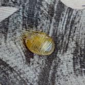 Very Pretty Golden Rutile Quartz Cabochon 6.10 Carats