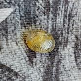 Very Pretty Golden Rutile Quartz Cabochon 6.10 Carats