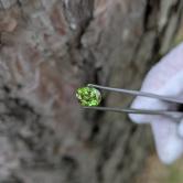 Perfect Green Lab Grown Yttrium Aluminum Garnet YAG 1.86 ct