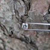 Nigerian Grey Pink Green Tourmaline 1.13 Carats