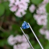 Natural Montana Blue Sapphire Sapphire 0.69 Carats