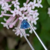 Natural Montana Blue Sapphire Sapphire 0.69 Carats