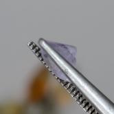 Unheated Color-Shift Pink to Lavender Montana Sapphire 0.64 Carats