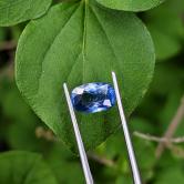 Very Pretty Royal Blue Ceylon Sapphire 1.97 Carats 
