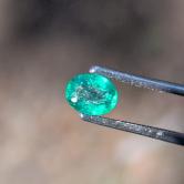 Natural Bright Fine Green Colombian Emerald 0.34 Carats