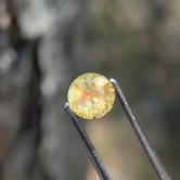 Moody Unheated Montana Sapphire 0.83 Carats