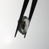 American Gem Natural Montana Sapphire Rough 7.82 Carats