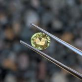 Fine Color Chartreuse Chrysoberyl Sri Lanka 1.57 Carats